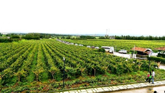 locations to visit near mumbai Nashik