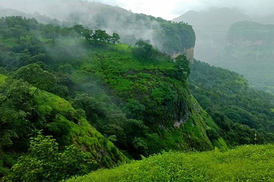 Andharban Forest Trek